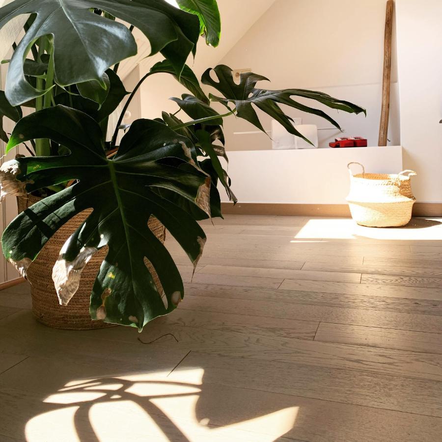 Maison D'Artiste Gent Buitenkant foto