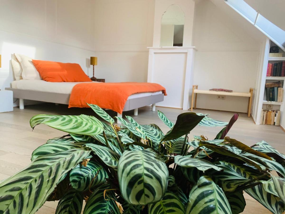 Maison D'Artiste Gent Buitenkant foto